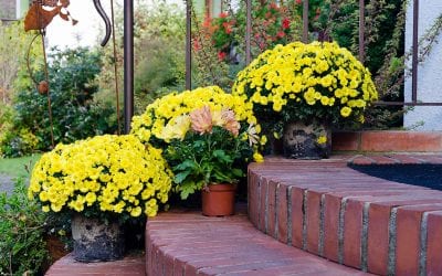 3 Ways to Improve Curb Appeal