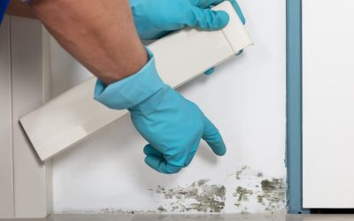5 Ways to Prevent Mold Growth