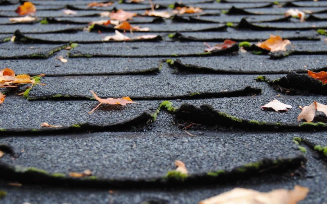 Roof Maintenance: Essential Tips for Longevity